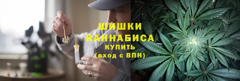 Конопля Ganja  закладки  Карачаевск 